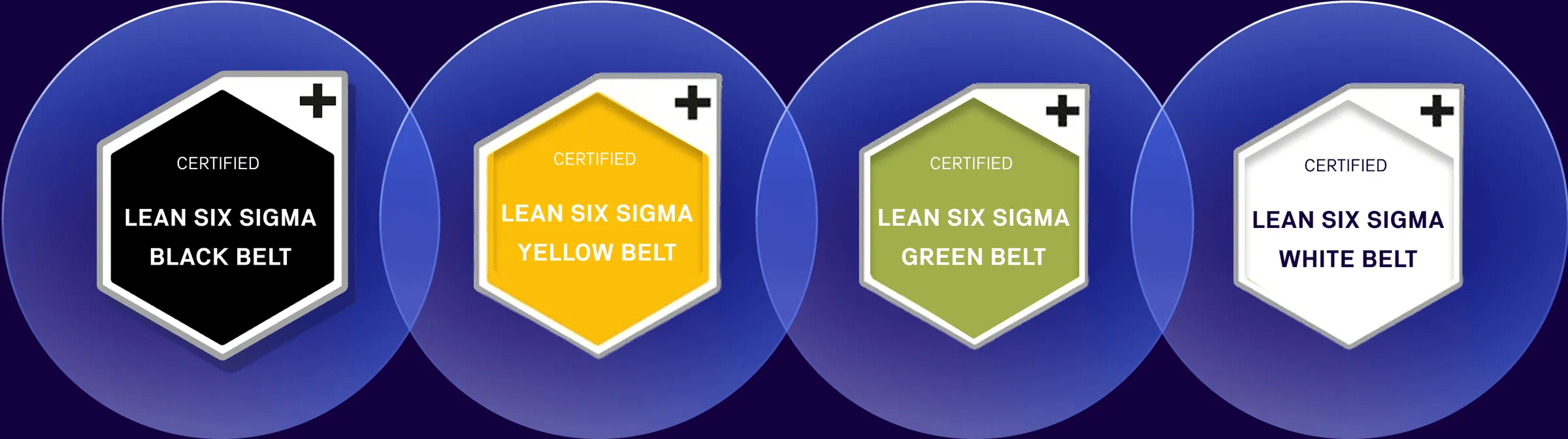 Chart comparing the White, Yellow, Green and Black Belt Lean Six Sigma training levels